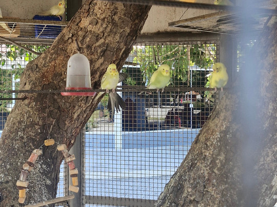 Praça Menino João Hélio-Araruama必去景点