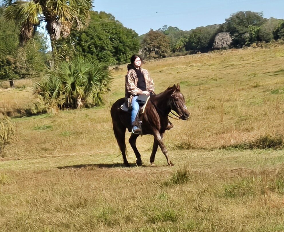 Wagon Wheel Horse Farm-奥基乔比必去景点