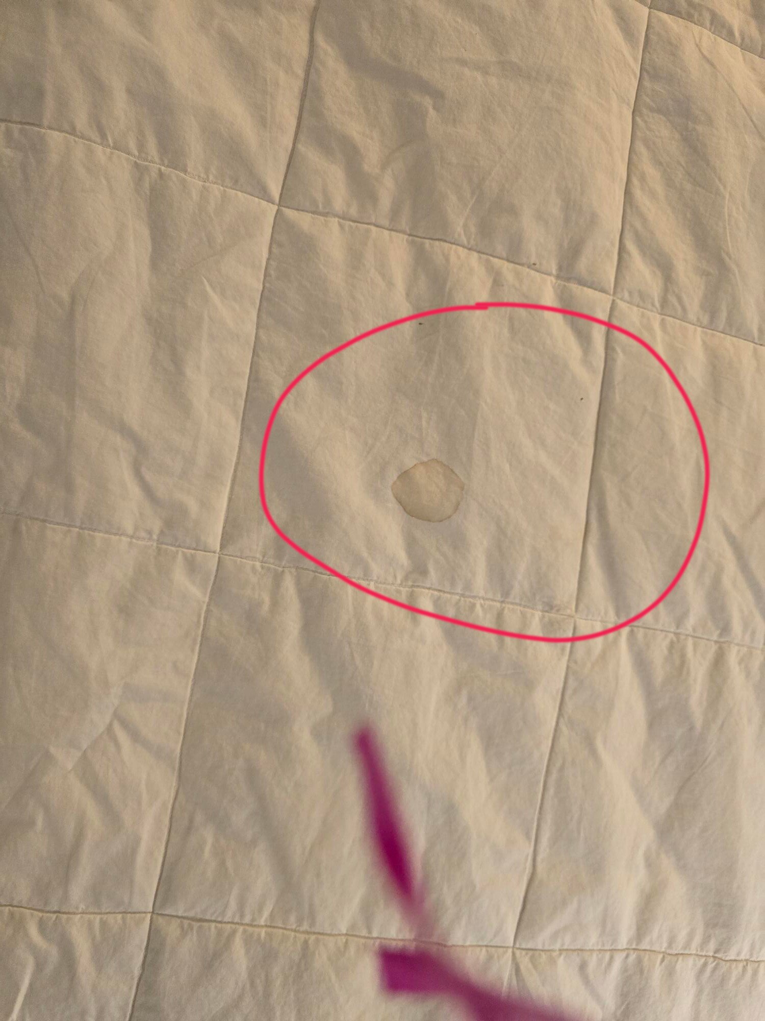 Hyatt House Pittsburgh / Bloomfield / Shadyside-官方