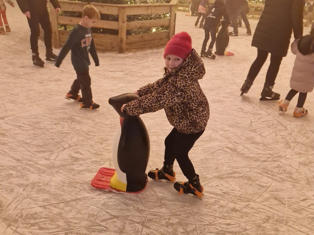 Lapland UK Manchester-麦克尔斯菲尔德必去景点