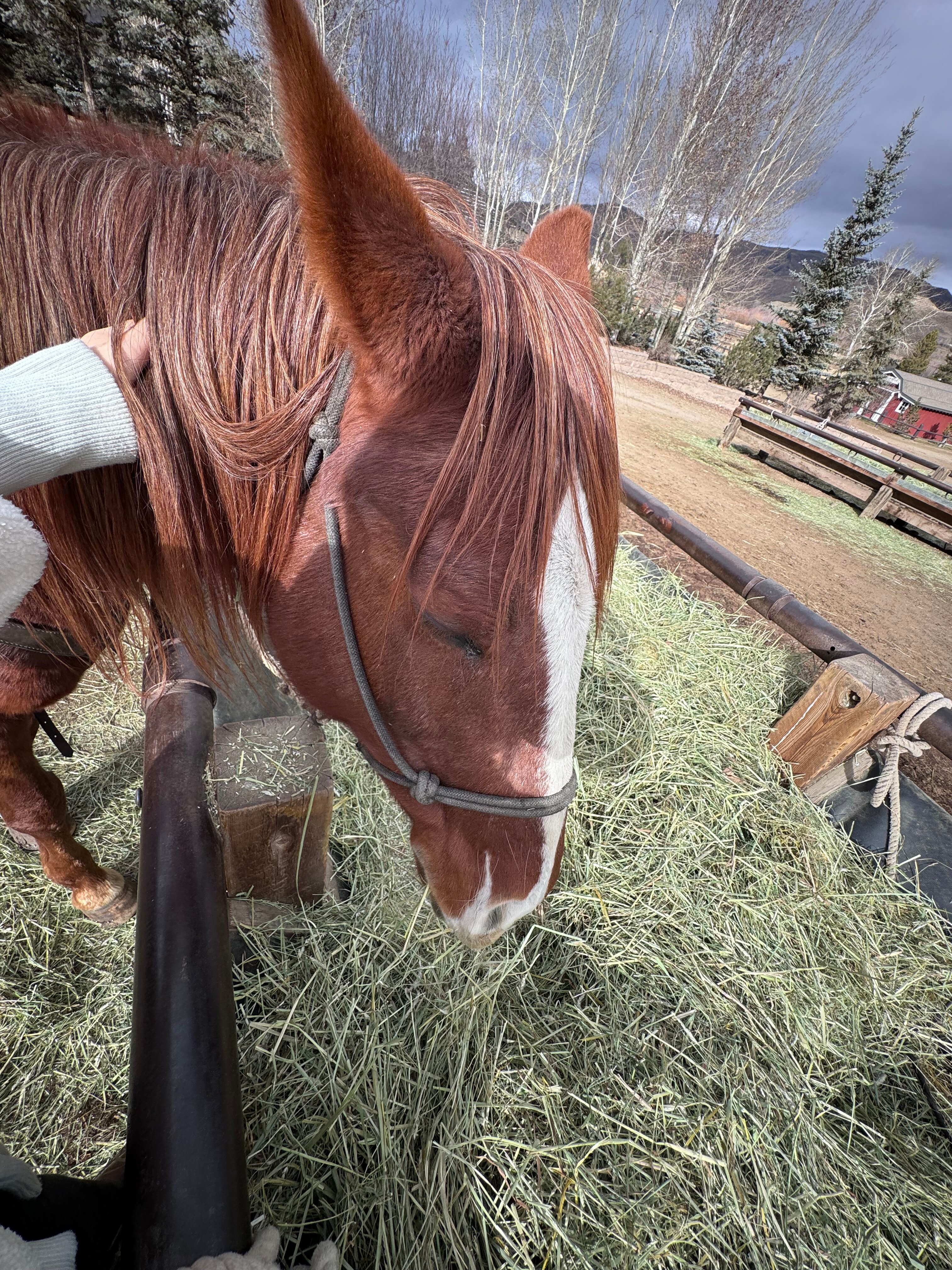 C Lazy U Ranch-官方