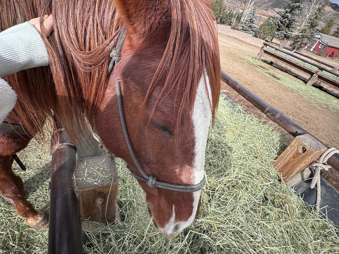 C Lazy U Ranch主图