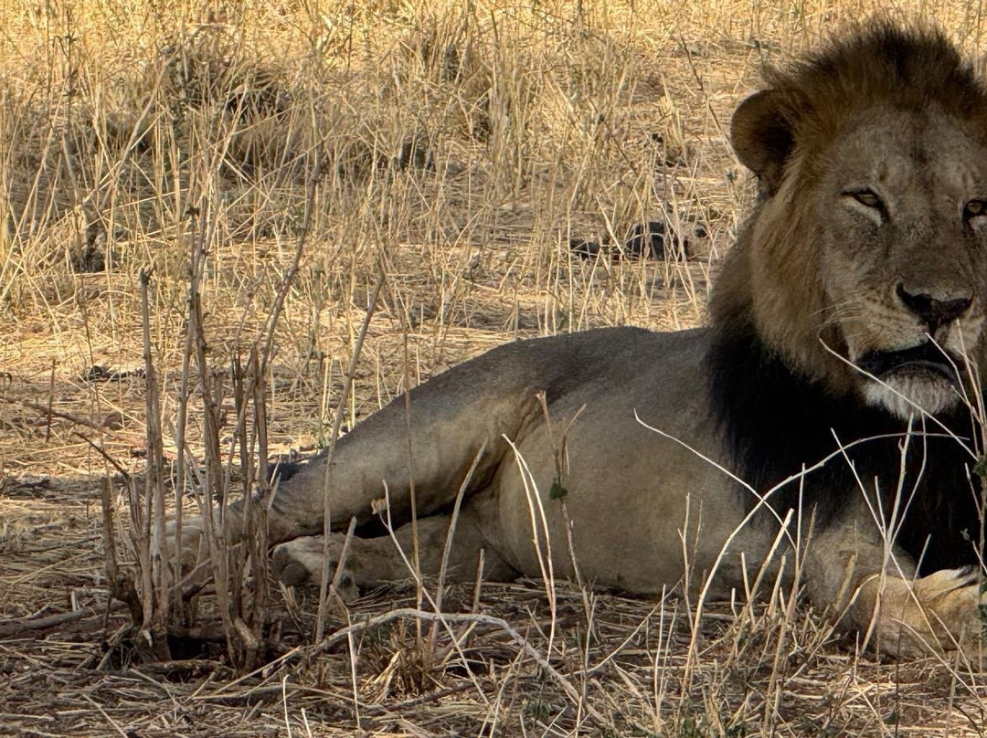 Altezza Travel-莫西必去景点