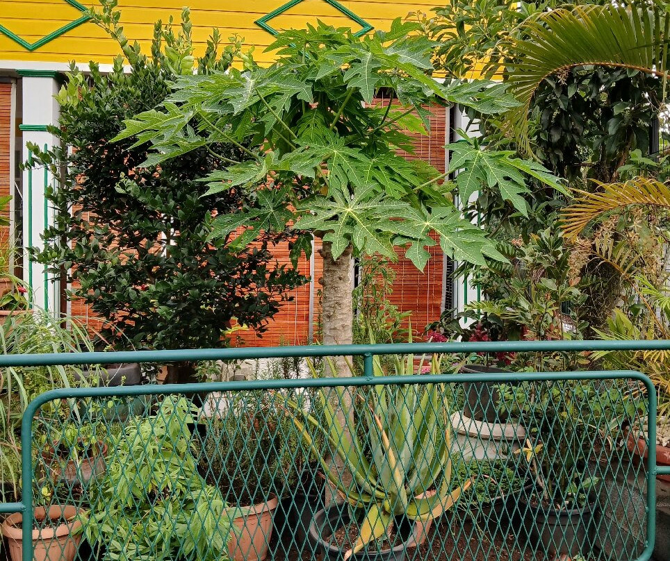 Kreolie 4x4-Entre-Deux必去景点