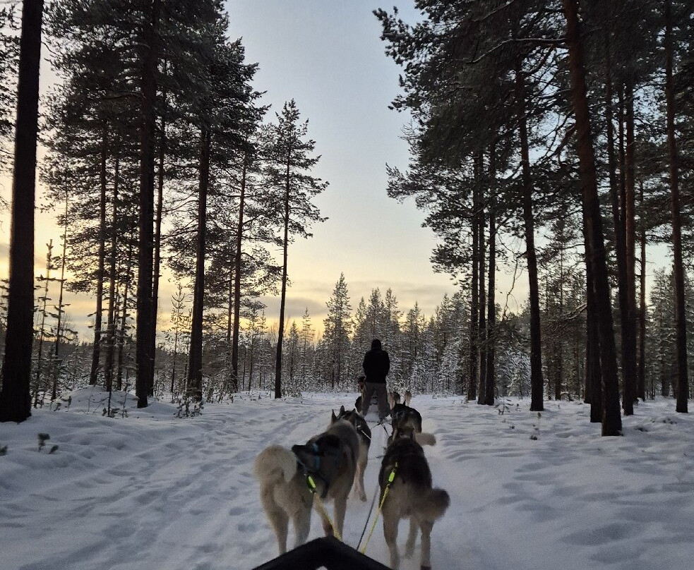 Happy Huskies-伊瓦洛必去景点