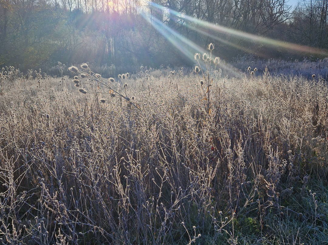 Coatham Woods-Long Newton必去景点
