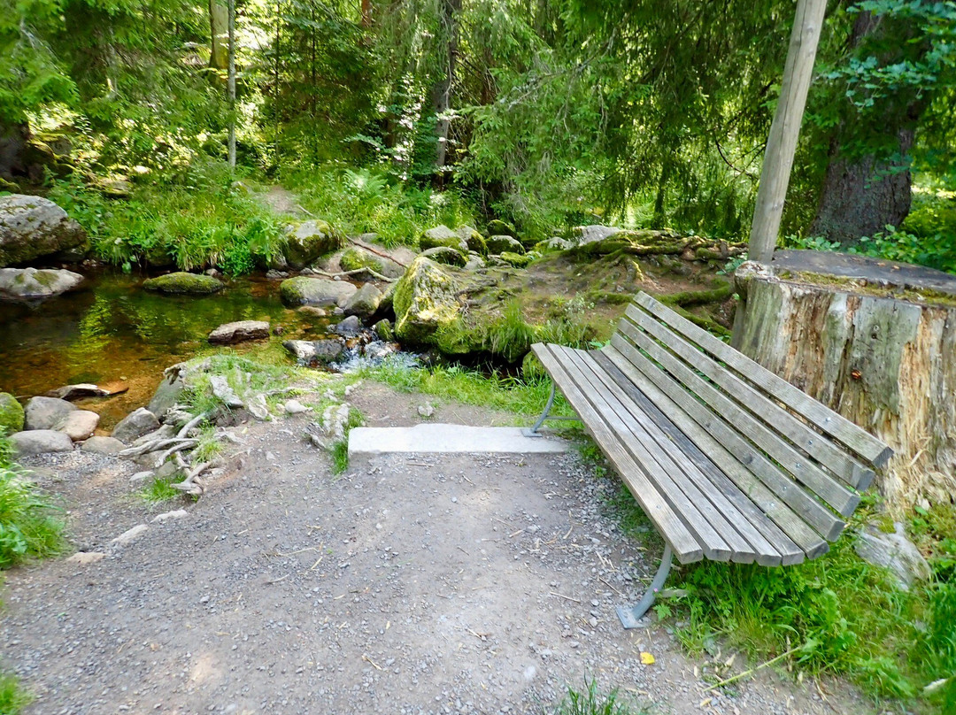 Menzenschwander Wasserfälle-Sankt Blasien必去景点