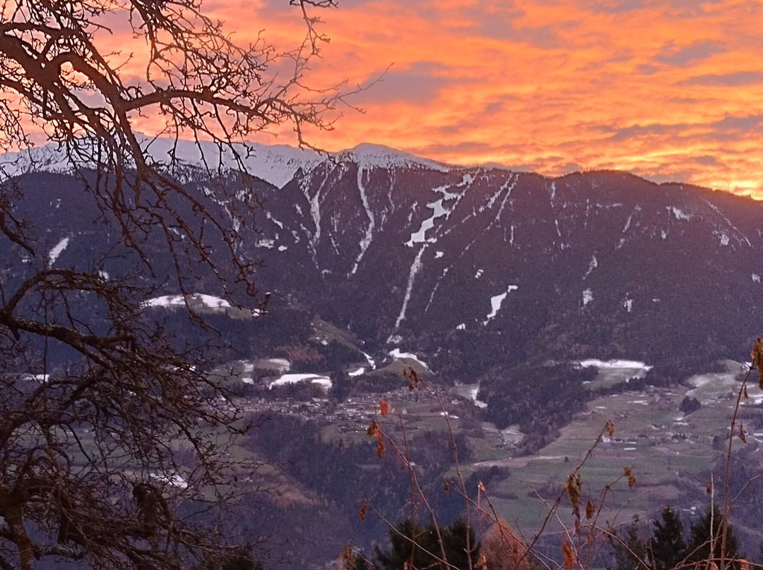 Biogasthaus Restaurant Plonerhof主图