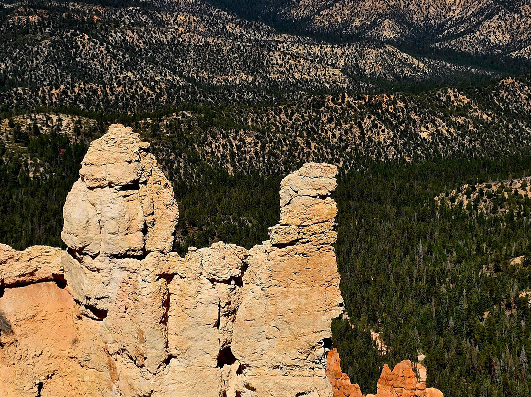 Rainbow Point-布莱斯峡谷国家公园必去景点