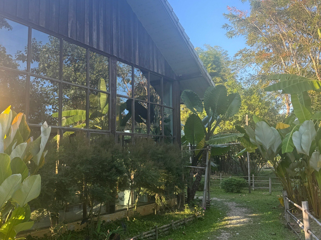 Sawanbondin Tea House & Experience-清莱必去景点