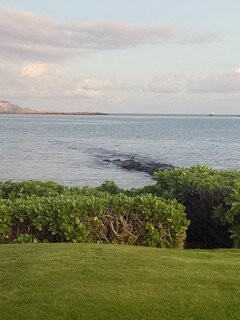 毛伊岛海滨酒店主图