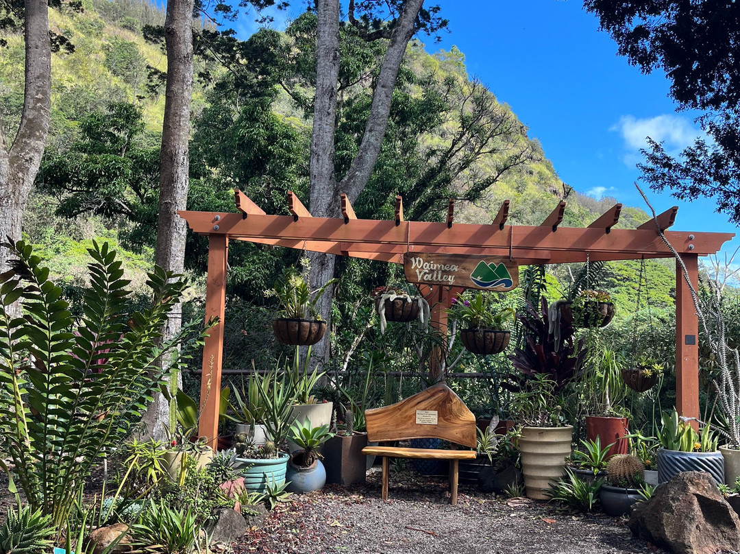 Go Tours Hawaii-火奴鲁鲁必去景点