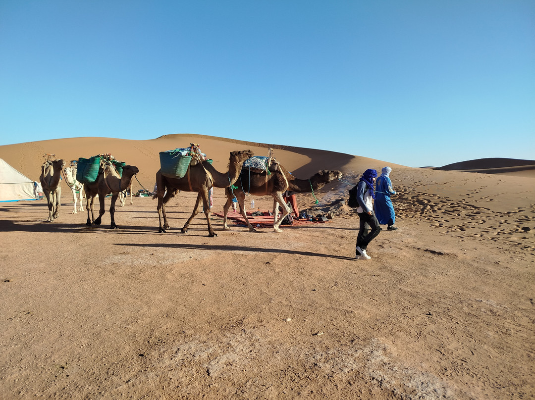 Racines du Désert-迈哈米德必去景点