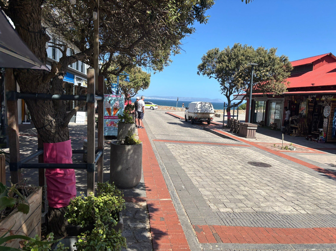 Hermanus Cliff Path-赫曼努斯必去景点