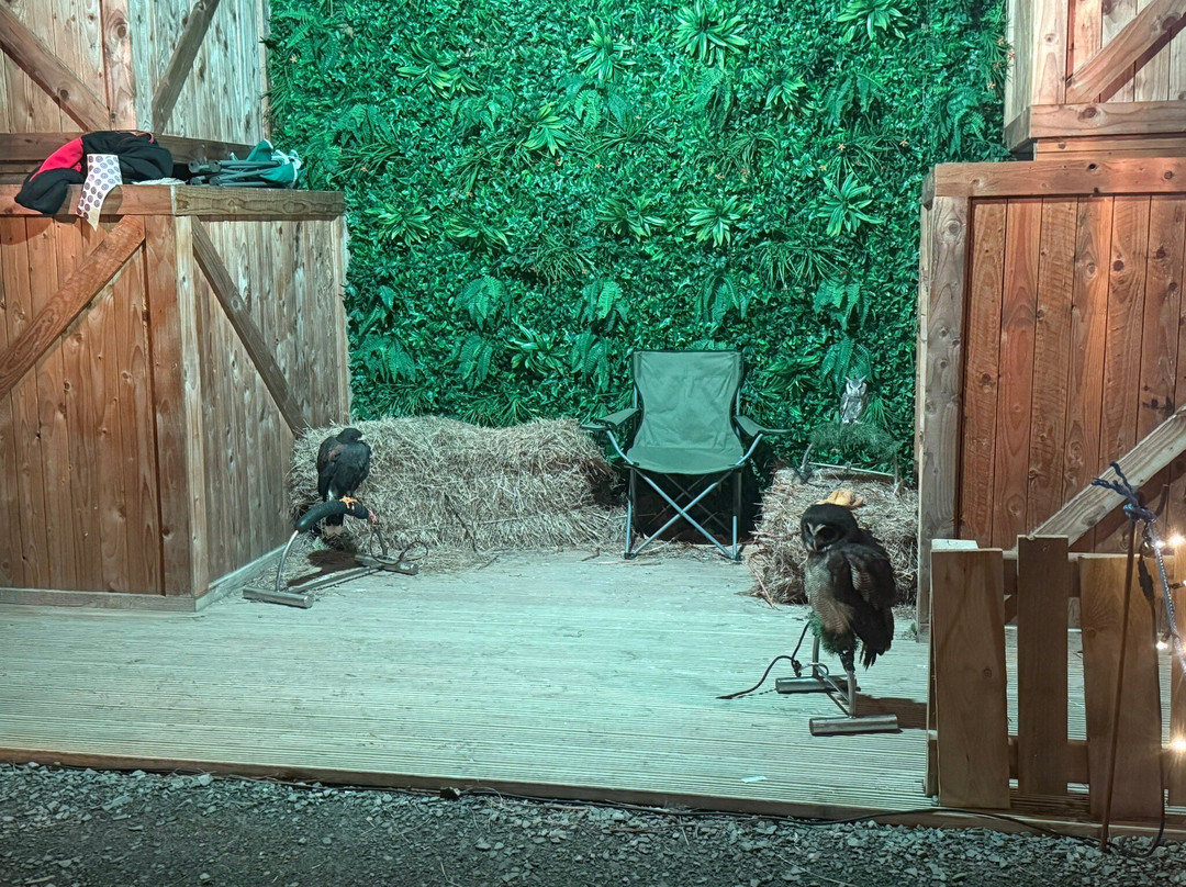 Manorafon Farm Park-Abergele必去景点