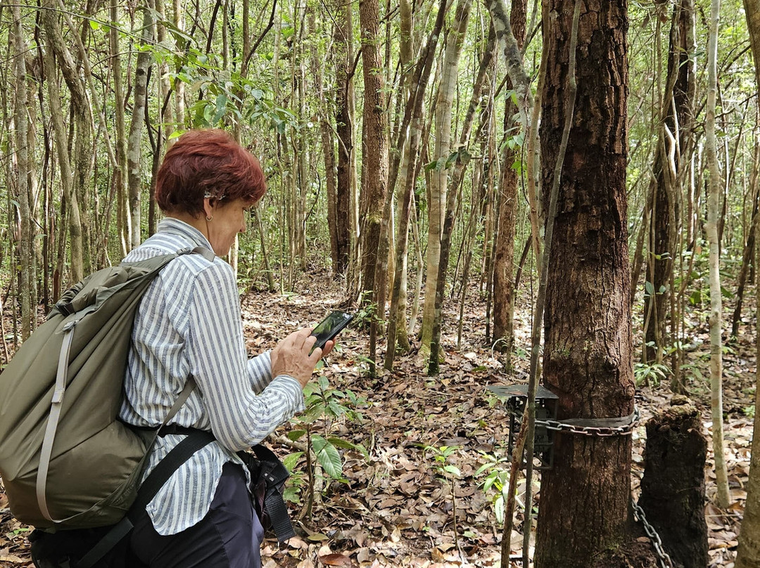 Ujung Kulon Tourism-Carita必去景点