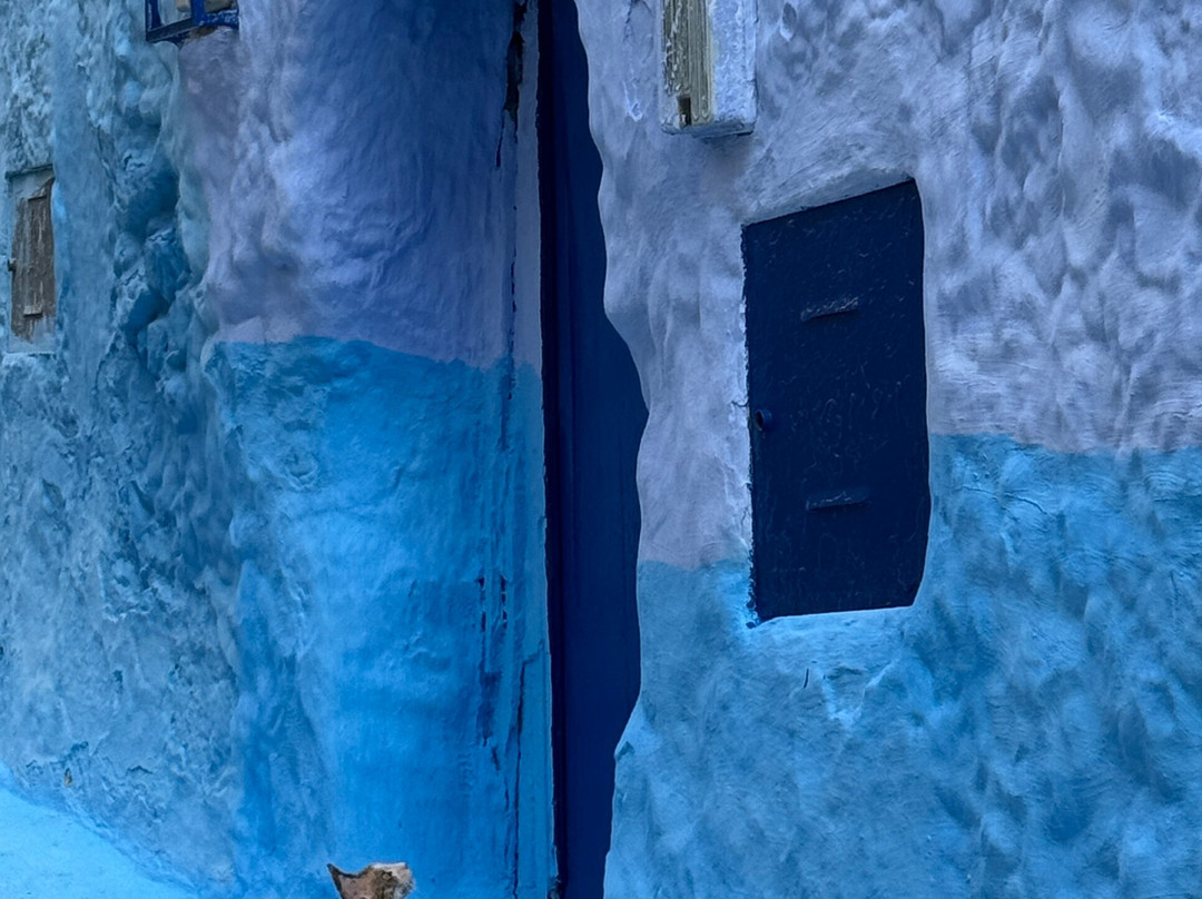 Global Morocco Exploration-卡萨布兰卡必去景点