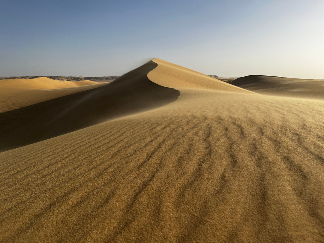 Western Desert Tours - Day Tour-Bawiti必去景点