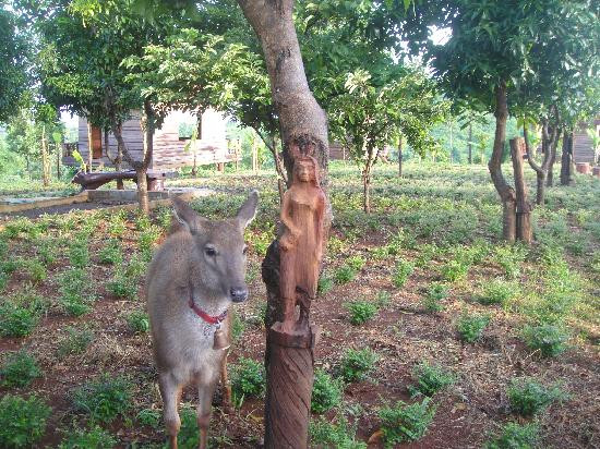 Motel Phnom Yaklom主图