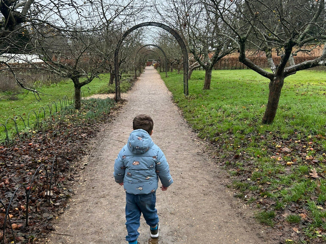 The Vyne-Sherborne St. John必去景点