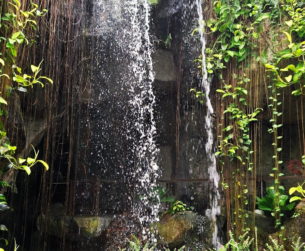 蟲鳴大地-巴巷海滩必去景点