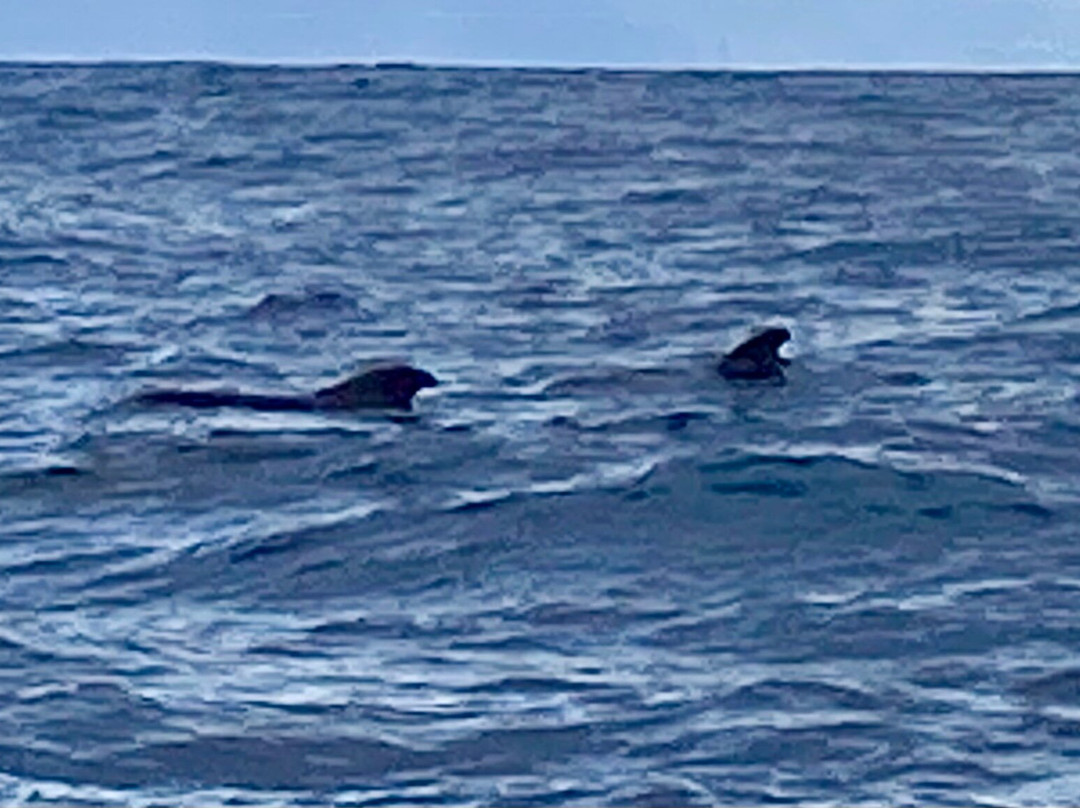 White Tenerife-奥德杰海岸必去景点