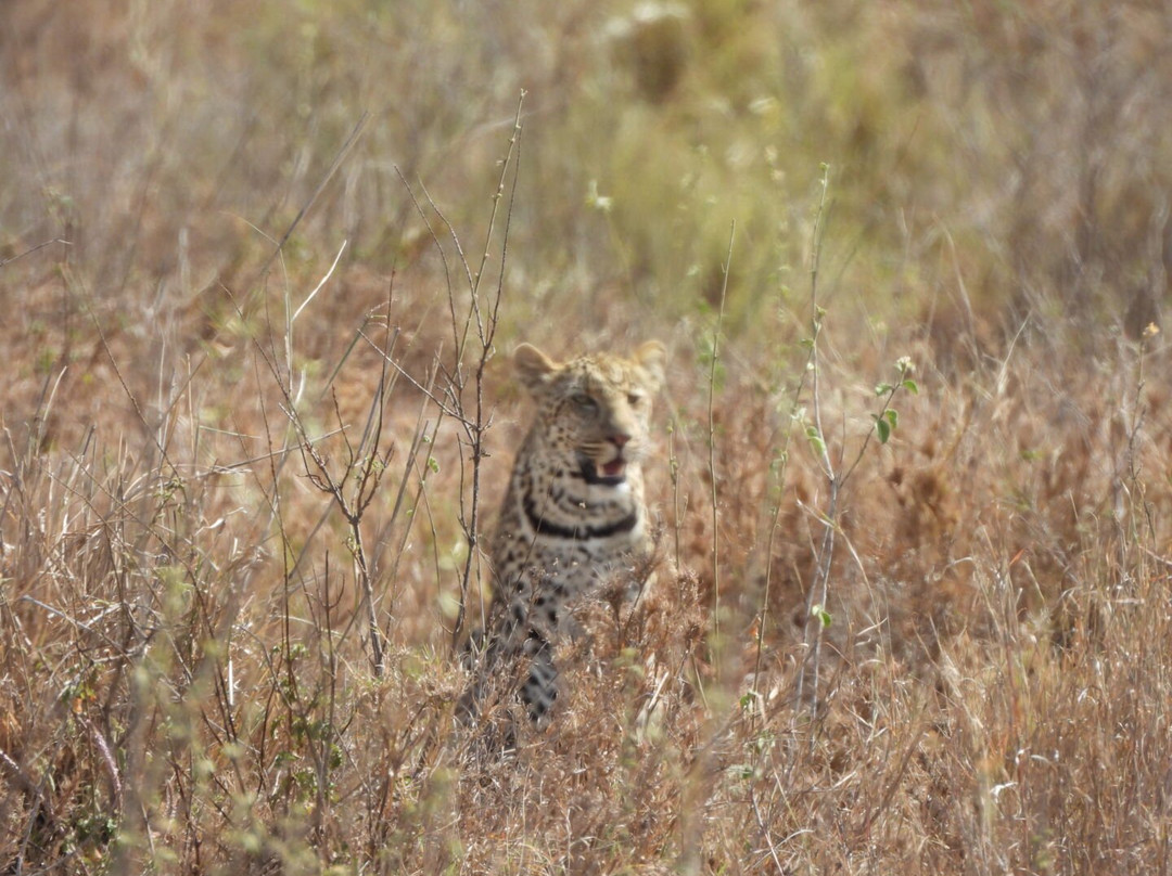 Blessing Safaris-阿鲁沙必去景点