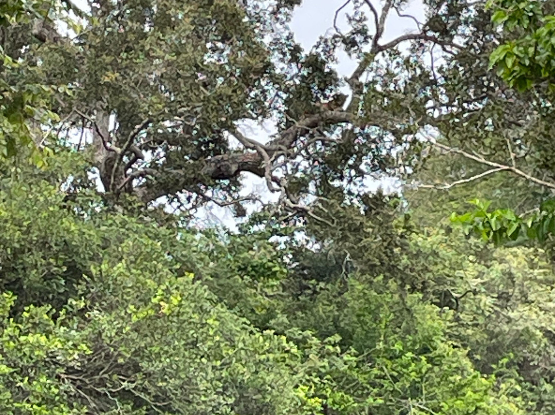 Southern Wild Safari-蒂瑟默哈拉默必去景点