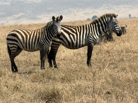 Season Master Adventures-阿鲁沙必去景点