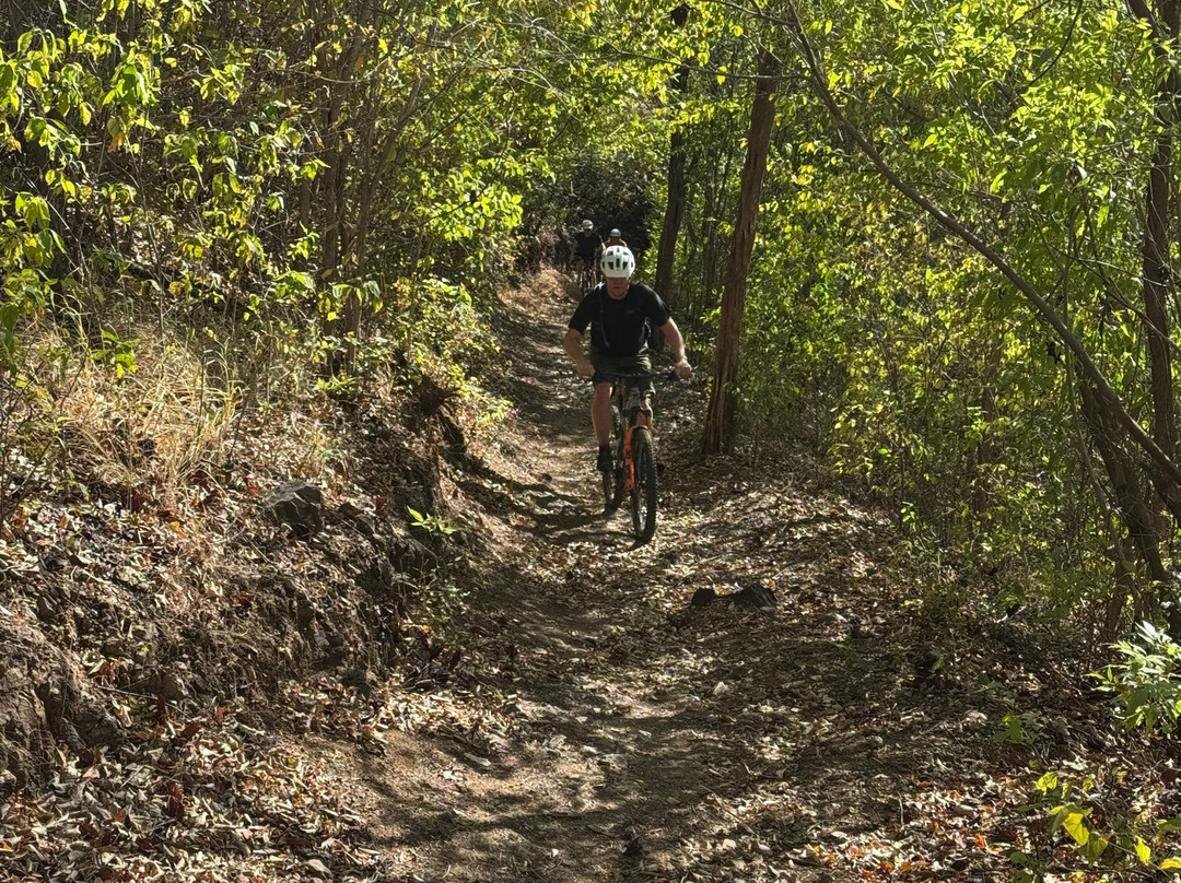 Pura Vida Ride-Las Catalinas必去景点