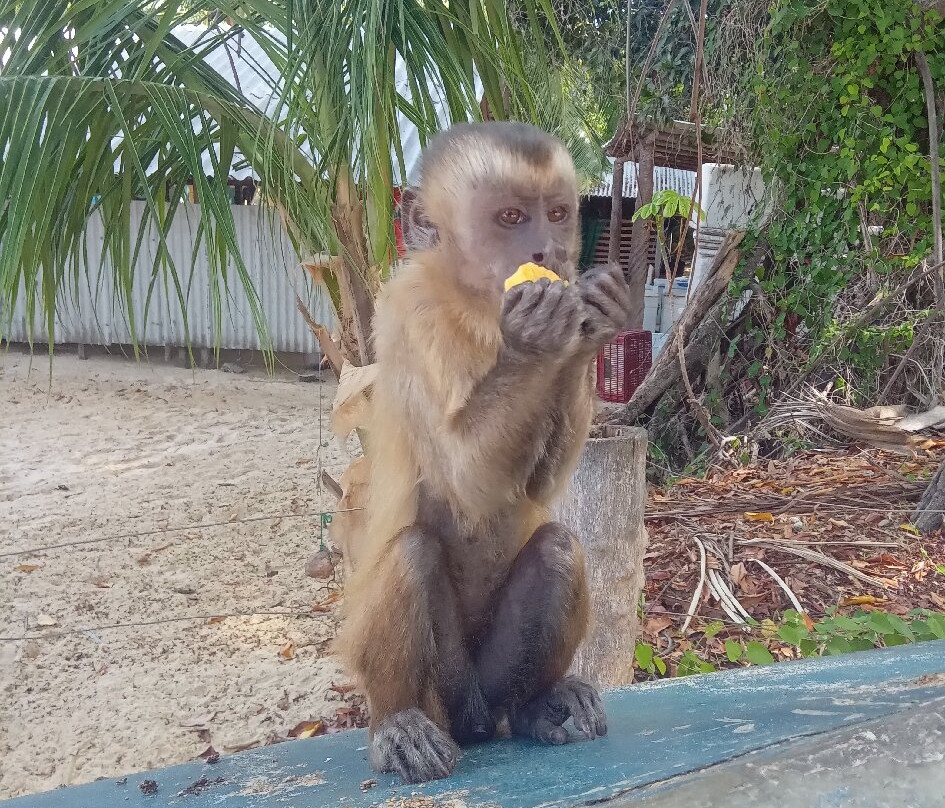 Rio Preguicas-巴雷里尼亚斯必去景点