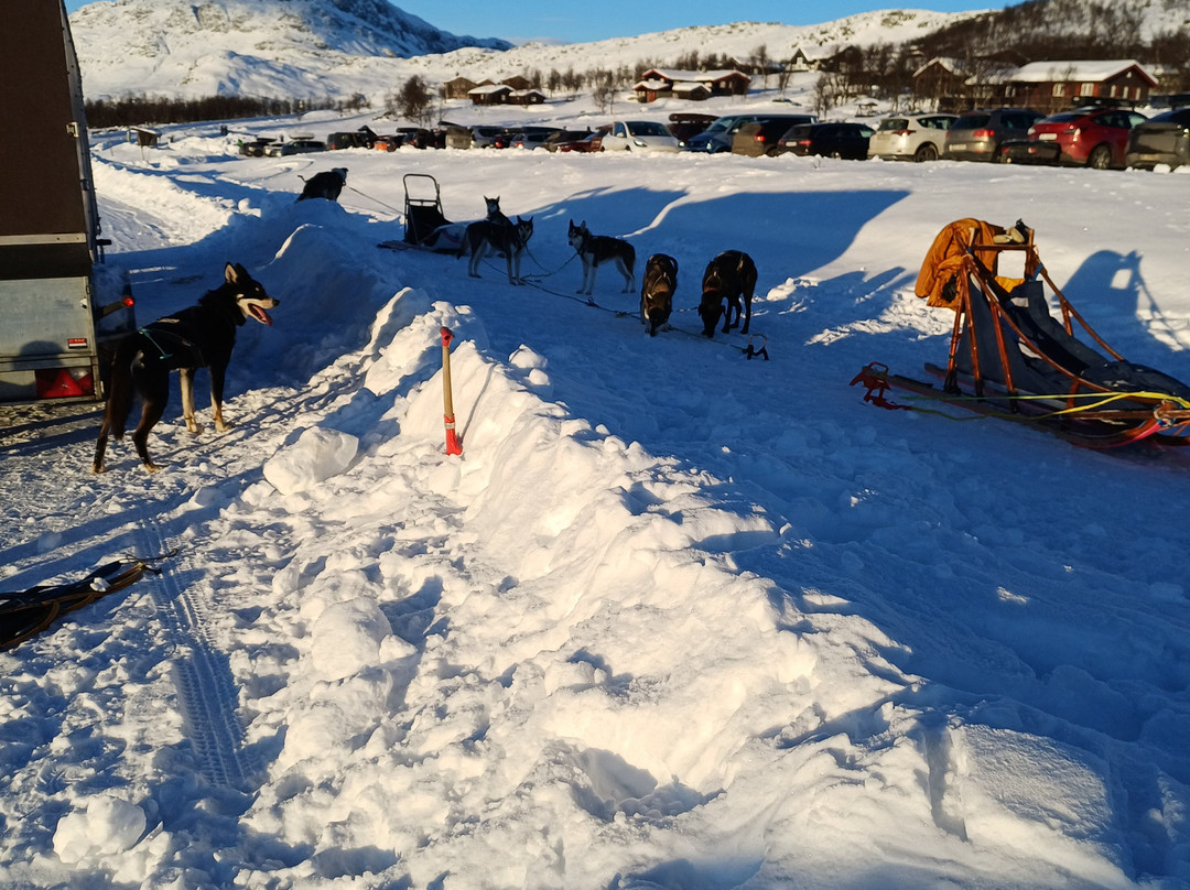 Beito Husky Tours Day Tours-Beito必去景点