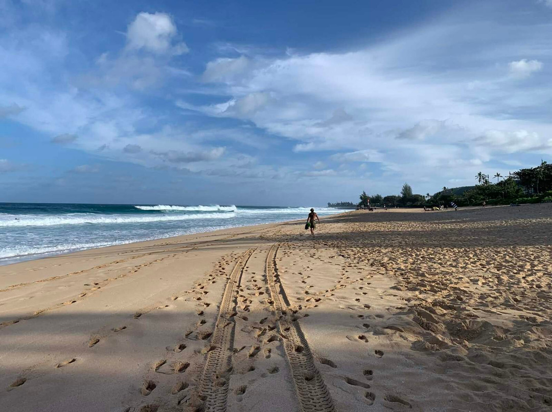Kevo's Beach Bus-火奴鲁鲁必去景点