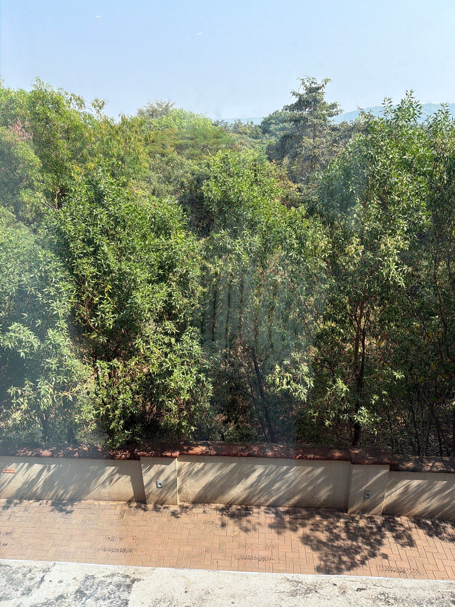 The Westin Goa-官方