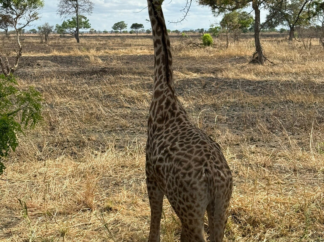 Kima Adventures-Dar es Salaam必去景点