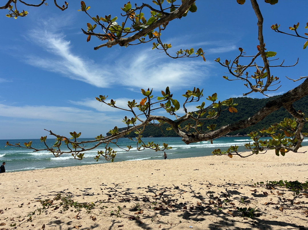 Praia do Cachadaço-Trindade必去景点