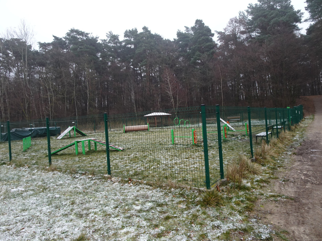 Zadebie Reservoir-Skierniewice必去景点