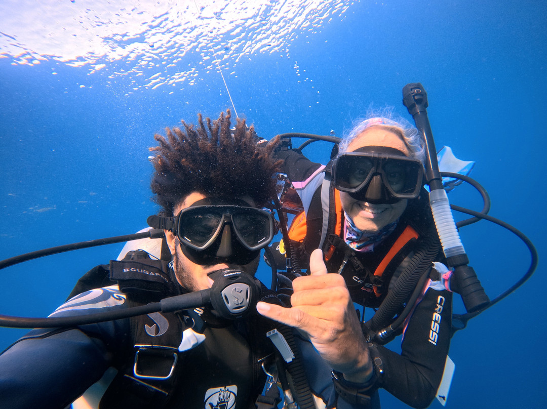 Dive Academy Fiji-Waiyevo必去景点