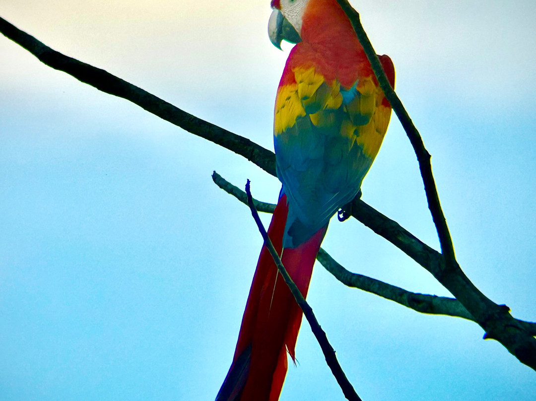 0S3 Private Tours-哈科必去景点