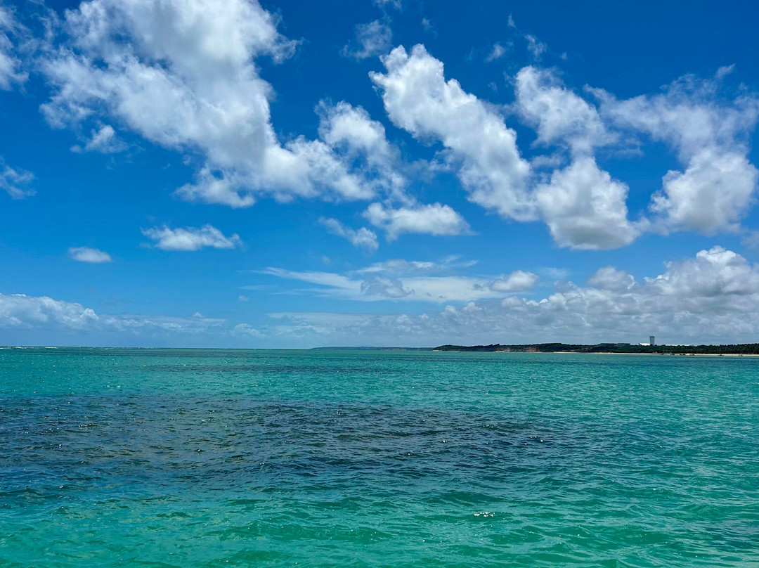 Piscinas Naturais do Seixas-Joao Pessoa必去景点