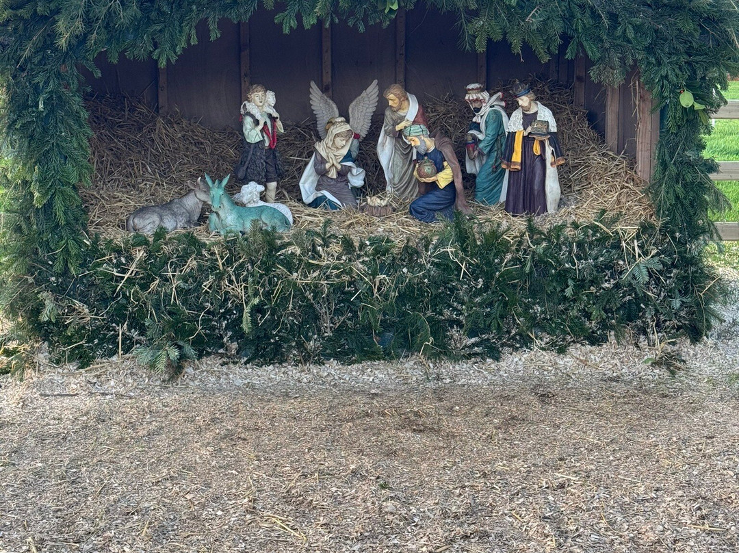 Farmleigh House and Estate-都柏林必去景点