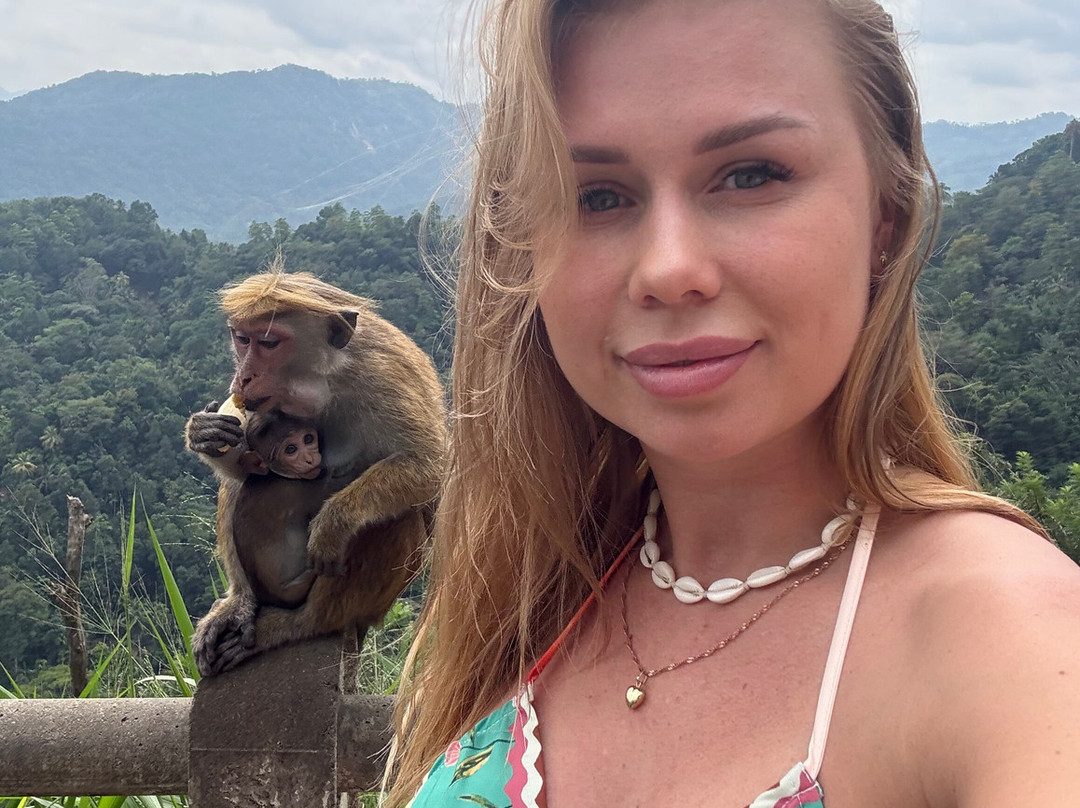 EMI Tours - Sri Lanka-Waikkal必去景点