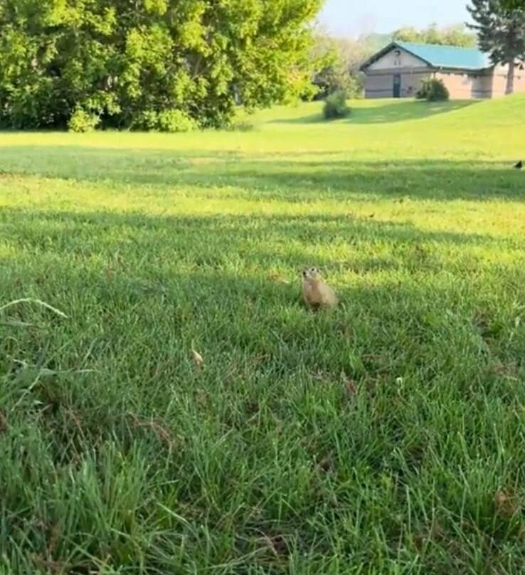 Buffalo Pound Provincial Park-穆斯乔必去景点