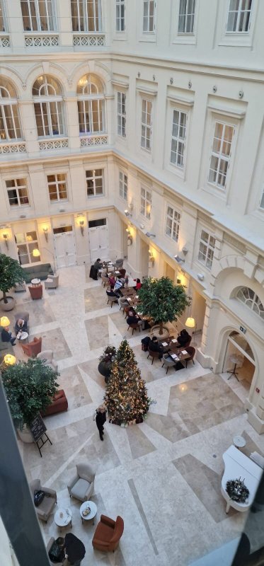 巴瑟罗布尔诺宫殿酒店-官方