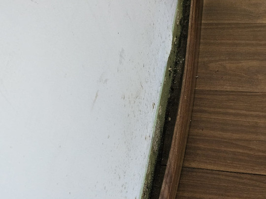 Hosteria del Parque主图