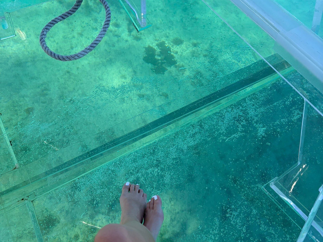 Envatours Cancun-坎昆必去景点