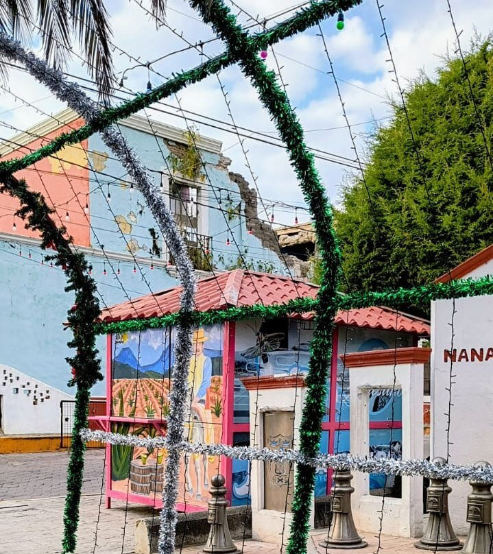 Santuario de las Luciérnagas - Bosque Mágico-Tlaxcala必去景点