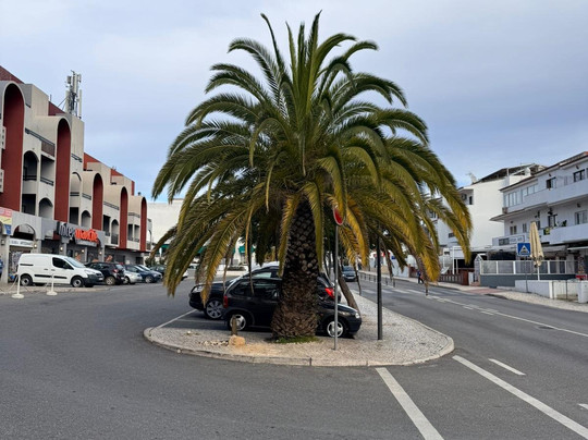 Muthu Oura Praia Hotel主图