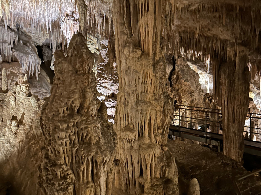 Mammoth Cave-Boranup必去景点