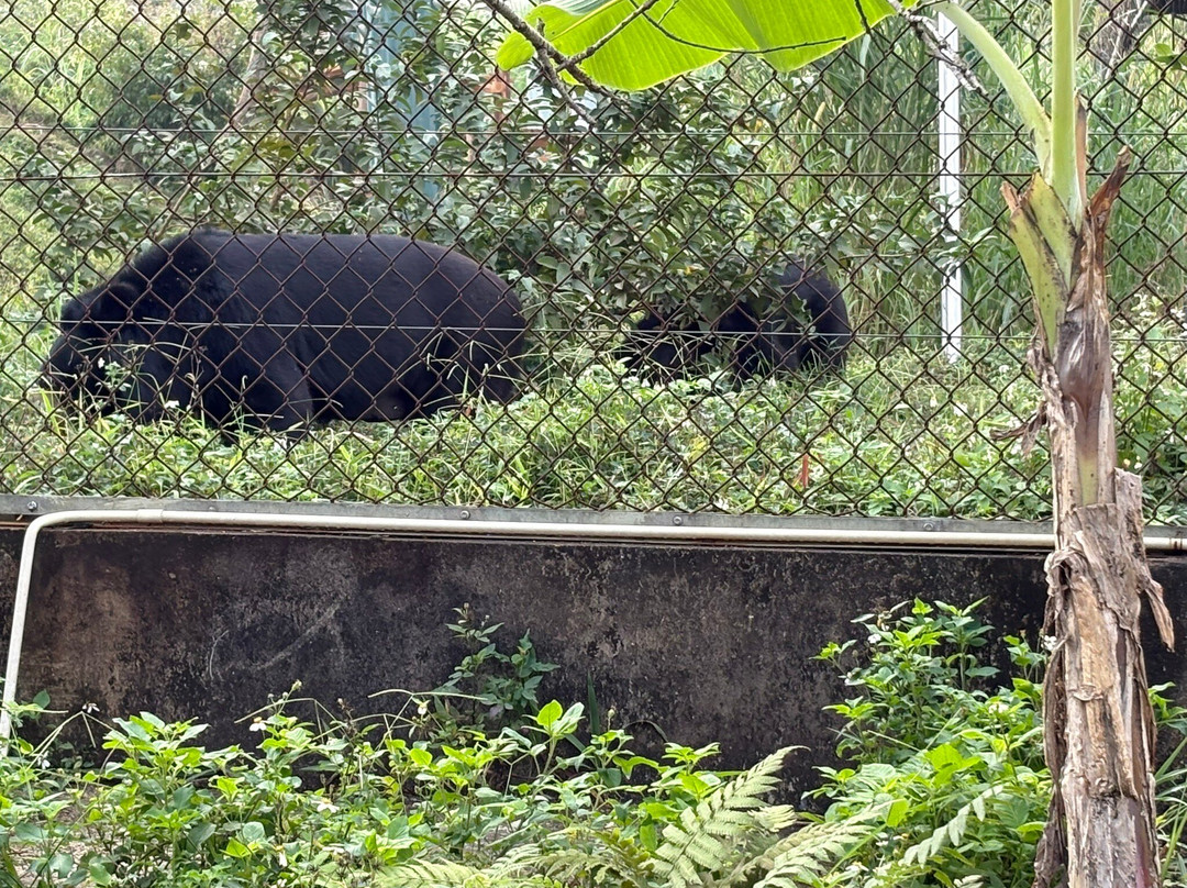 Bear Sanctuary Ninh Binh-宁平必去景点